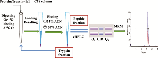 A new sample preparation method for the absolute quantitation of a ...