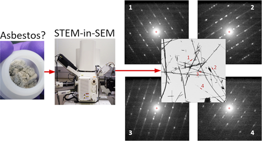 Graphical abstract: Transmission electron imaging and diffraction of asbestos fibers in a scanning electron microscope