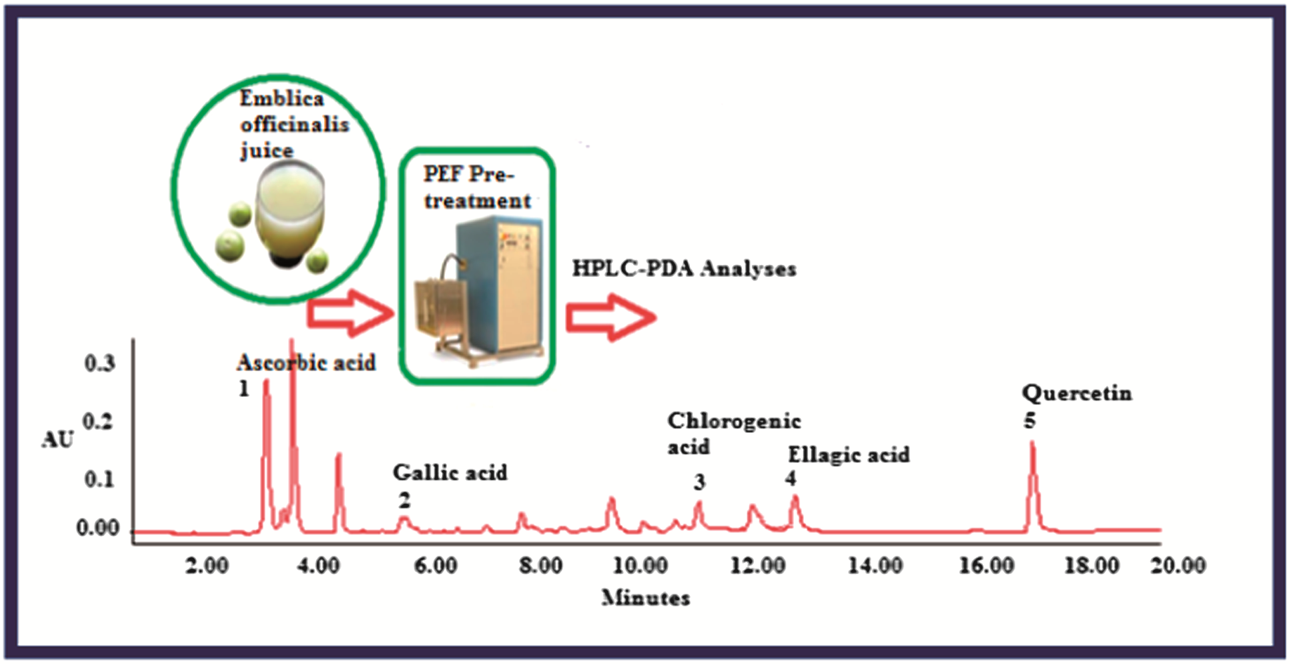Coupling of chromatographic analyses with pretreatment for the ...