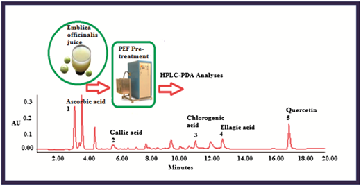 Coupling of chromatographic analyses with pretreatment for the ...
