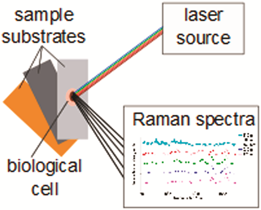Optimal choice of sample substrate and laser wavelength for Raman ...