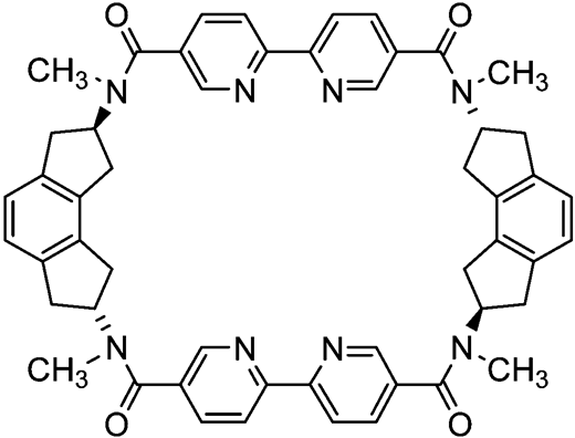 Large Computer Reference A computer-designed macrocyclic zinc receptor† | Chemical ...