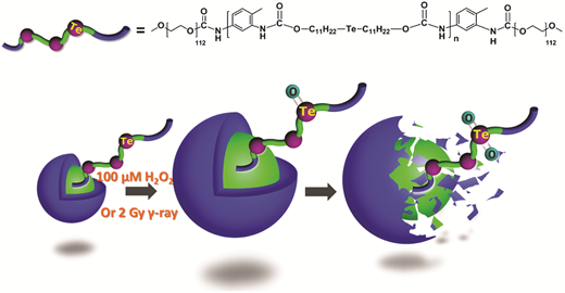 Ultra-sensitive ROS-responsive tellurium-containing polymers ...