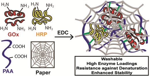 A modular, general method for trapping enzymes within the voids of paper, without chemical activation of cellulose, is reported.