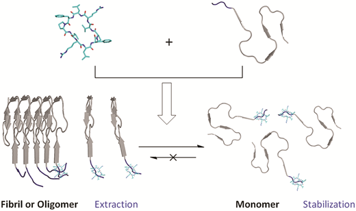 Pathways Prevent Stabilizing amyloid-β peptide by the N-terminus capture is capable of ...
