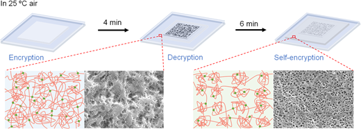 A thermo-responsive hydrogel for body temperature-induced spontaneous ...