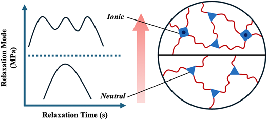 Rsc Function Network Multiple energy dissipation modes in dynamic polymer networks with ...