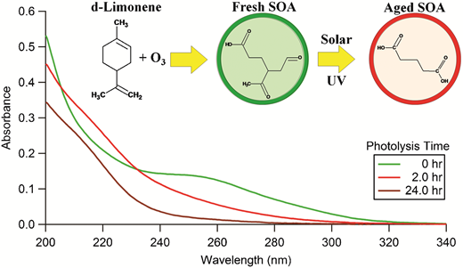 Photolytic processing of secondary organic aerosols dissolved in cloud ...
