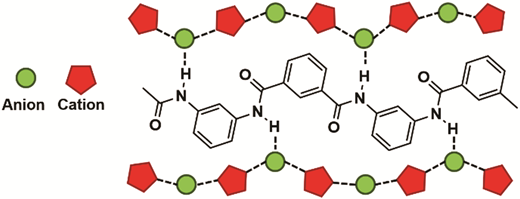Solvation structure of poly-m-phenyleneisophthalamide (PMIA) in ionic ...