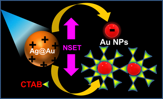 Understanding the mechanism of the energy transfer process from non ...