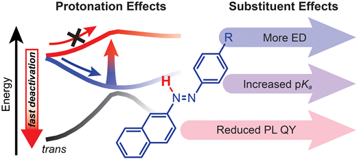 Controlling excited-state dynamics via protonation of naphthalene-based ...