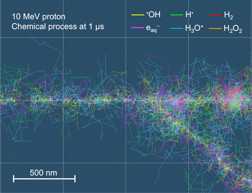 Graphical abstract: Development of a chemical code applicable to ions based on the PHITS code for efficient and visual radiolysis simulations