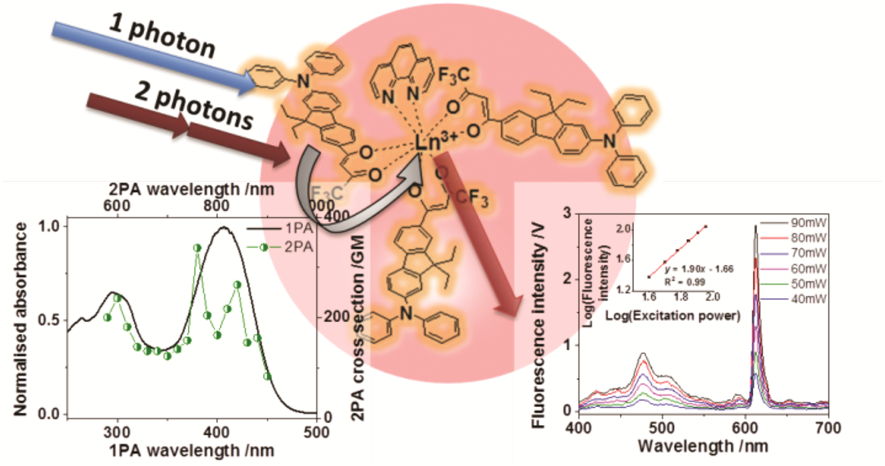 Two-photon sensitized visible and near-IR luminescence of lanthanide ...