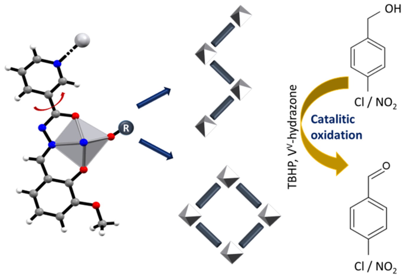 Graphical abstract for Nicotinoyl hydrazone-directed vanadium assemblies: metallosupramolecular isomerism, polymorphism, and catalytic oxidation performance