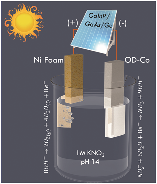廃水の硝酸塩と太陽光でアンモニアを作る (Combining sunlight and wastewater nitrate to make the world’s No. 2 chemical) 廃水の硝酸塩と太陽光でアンモニアを作る (Combining sunlight and wastewater nitrate to make the world’s No. 2 chemical)
