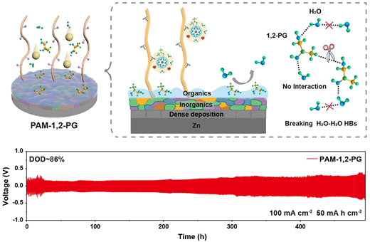 Rsc Function Network Anti-freezing hydrogel electrolyte with a regulated hydrogen bond ...
