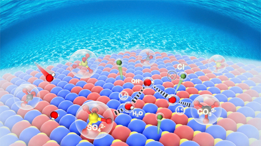 Rsc Function Network A hydrogen-bond network sieve enables selective OH−/Cl− discrimination ...
