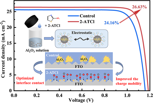 Molecularly guided buried-interface regulation for efficient and stable ...