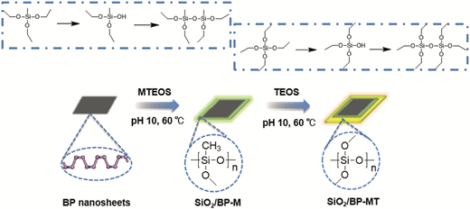 Stable Shell Klayer Facile passivation of black phosphorus nanosheets via silica coating ...
