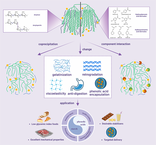 The interaction between starch and phenolic acids: effects on starch ...