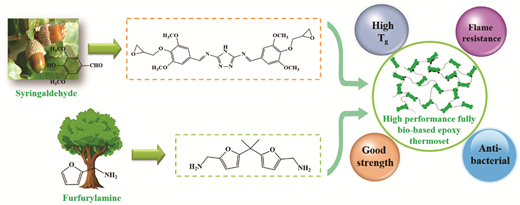 A high performance fully bio-based epoxy thermoset from a ...
