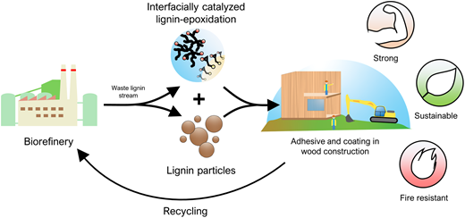 木造建築における有害な接着剤を代替できるエコ・グルー(Eco-glue can replace harmful adhesives in wood construction) 木造建築における有害な接着剤を代替できるエコ・グルー(Eco-glue can replace harmful adhesives in wood construction)