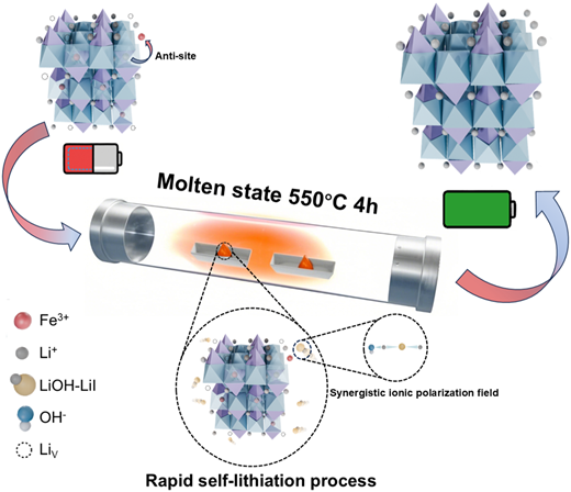 Dipole modulation engineering for the recycling of spent lithium iron ...
