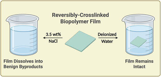 化学生命工学学生が生分解性プラスチック研究で成果(Reluctant Researcher Turned First Author) 化学生命工学学生が生分解性プラスチック研究で成果(Reluctant Researcher Turned First Author)