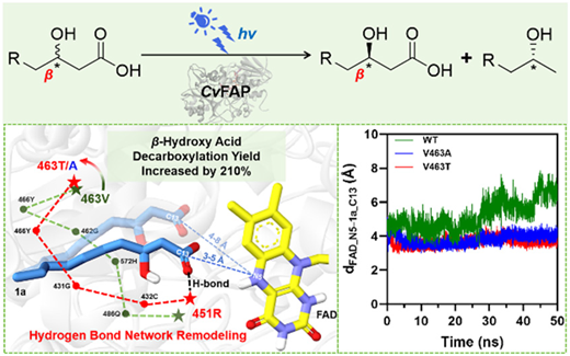 Rsc Function Network Stereoselective decarboxylation of β-functionalized carboxylic acids ...