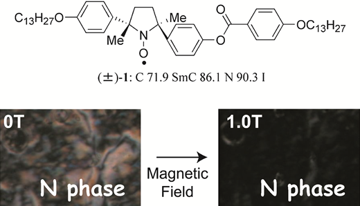 Compound Microscope Reference Magnetic-field-induced molecular alignment in an achiral liquid crystal ...