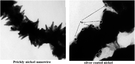 Magnetic Ni/Ag core–shell nanostructure from prickly Ni nanowire ...