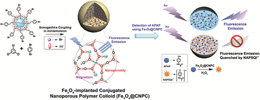 Rsc Function Network Magnetic CMP microspheres: multifunctional poly(phenylene ethynylene ...