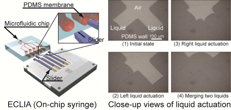 On-chip syringe pumps for picoliter-scale liquid manipulation† | Lab on ...