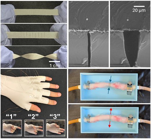 「水陸両用」センサーが新しい防水技術を可能にする(‘Amphibious’ Sensors Make New, Waterproof Technologies Possible) 「水陸両用」センサーが新しい防水技術を可能にする(‘Amphibious’ Sensors Make New, Waterproof Technologies Possible)