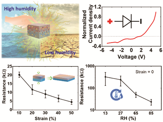 Graphical abstract: An ambient-stable and stretchable ionic skin with multimodal sensation