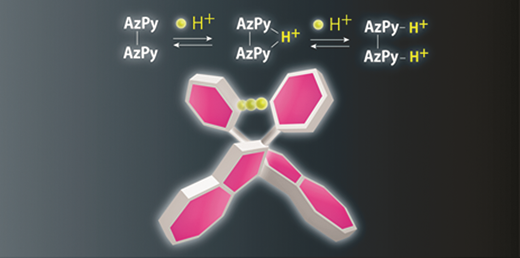 Synthesis and acid–base properties of a proton-bridged biaryl compound ...