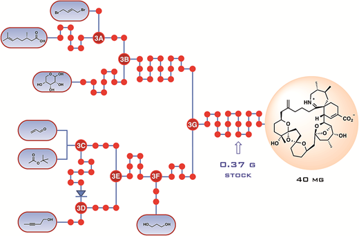 Synthesis and biology of cyclic imine toxins, an emerging class of ...