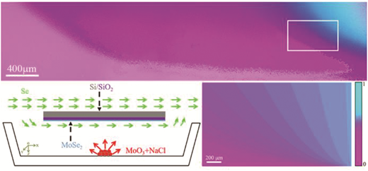 Synthesis of large-area monolayer and few-layer MoSe2 continuous films ...
