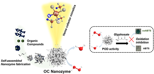 研究者ら農業用に適した有機ナノザイムを開発(U of I researchers develop organic nanozymes suitable for agricultural use) 研究者ら農業用に適した有機ナノザイムを開発(U of I researchers develop organic nanozymes suitable for agricultural use)