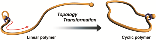 Unit Modification Request Synthesis of a cyclic poly(methyl acrylate) via topological ...