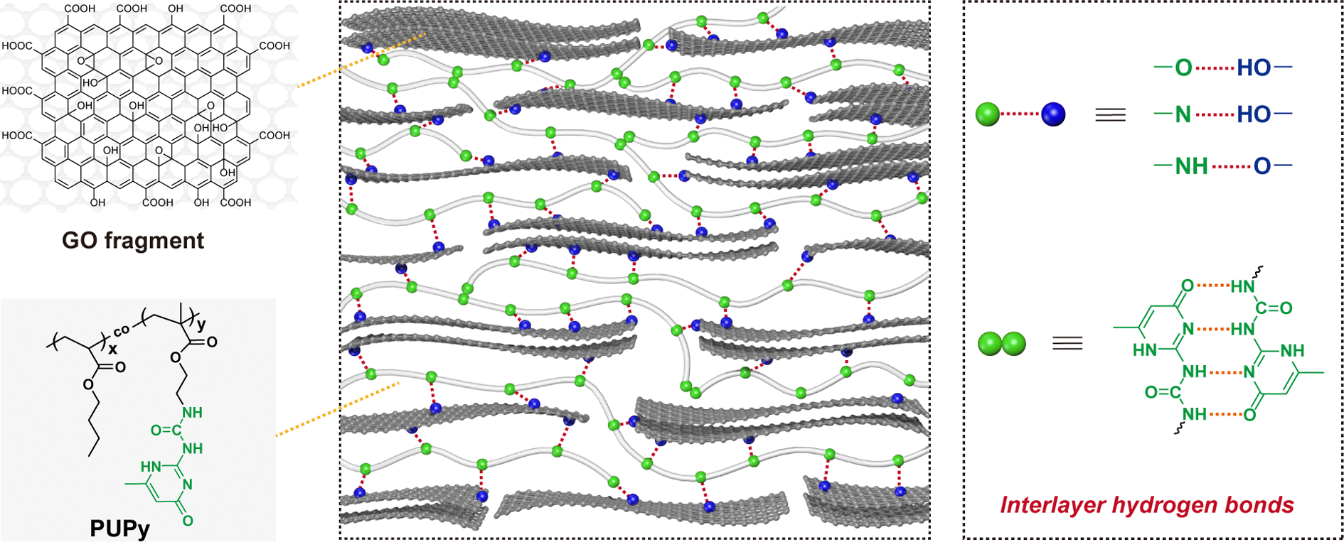 Multiple hydrogen bonding in crosslinked graphene oxide films with ...