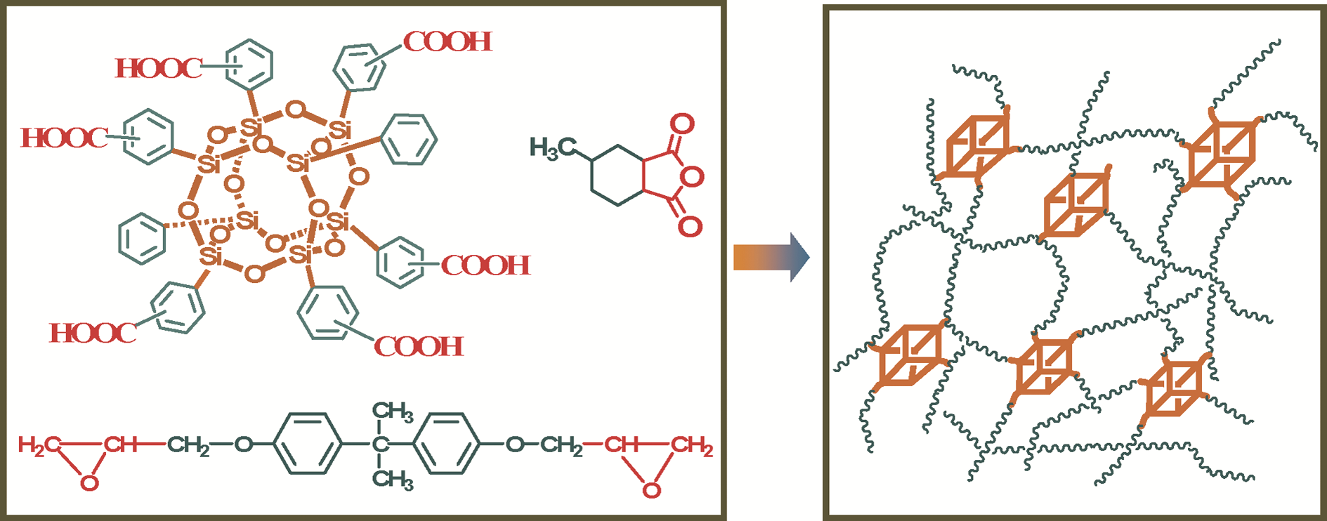 Sample Network Structure Controlled network structure and its correlations with physical ...