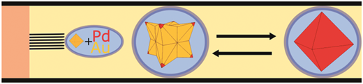 Kinetically controlled synthesis of bimetallic nanostructures by ...