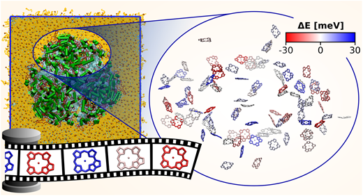 光合成:さまざまな道が反応中心につながる(Photosynthesis: varying roads lead to the reaction center)