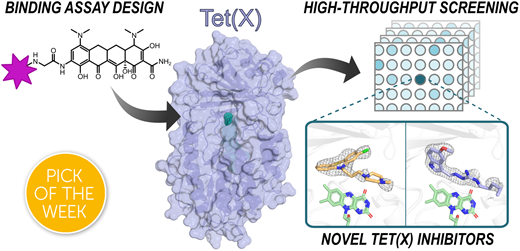 Graphical abstract: Binding assays enable discovery of Tet(X) inhibitors that combat tetracycline destructase resistance