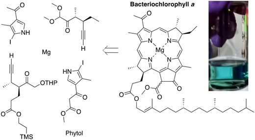 Graphical abstract: Synthesis of bacteriochlorophyll a