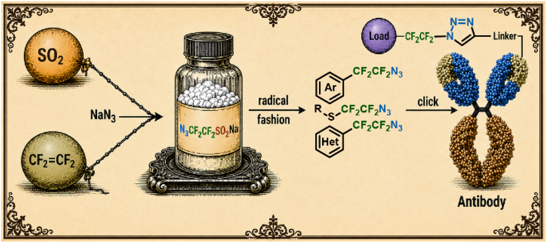 2-Azido-1,1,2,2-tetrafluoroethanesulfinate is a new radical reagent to introduce the CF2CF2N3 moiety to a variety of (hetero)aromatics, thiols and alkenes. The adducts were clicked to alkynes, including a modified antibody.