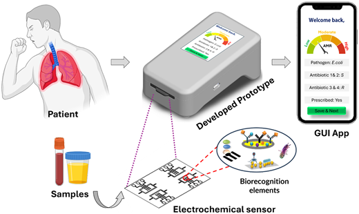 A portable multiplexed electrochemical platform enables 30 min E. coli detection and simultaneous AST within 5 h, significantly reducing diagnostic time while providing selective, reproducible point-of-care antimicrobial resistance profiling.