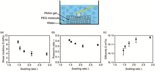 Rsc Function Network Probing the swelling-dependent mechanical and transport properties of ...