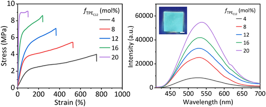 Rsc Function Network Synthesis of tough and fluorescent hydrogels via the synergistic ...